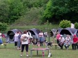 E'Lia des grandes aubes, epagneul breton, concours agility audun le roman le 22 mai 2011,2eme degré