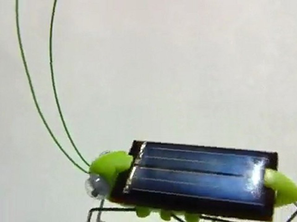 Güneş enerjili çekirge robot