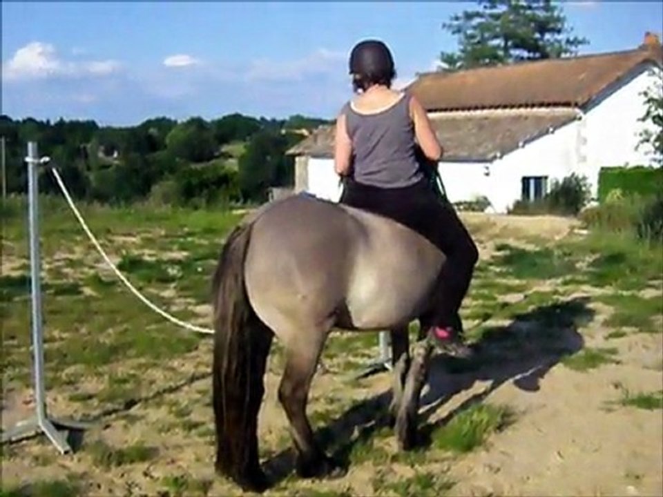 sousou porte