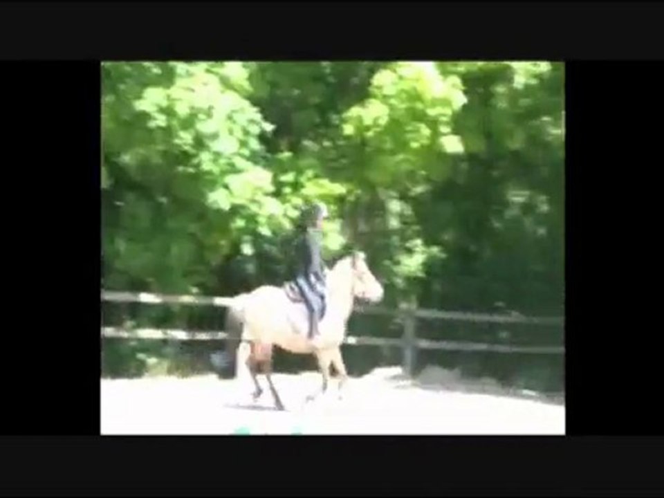 alisson et kokine en cour