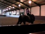 transitions galop / trot