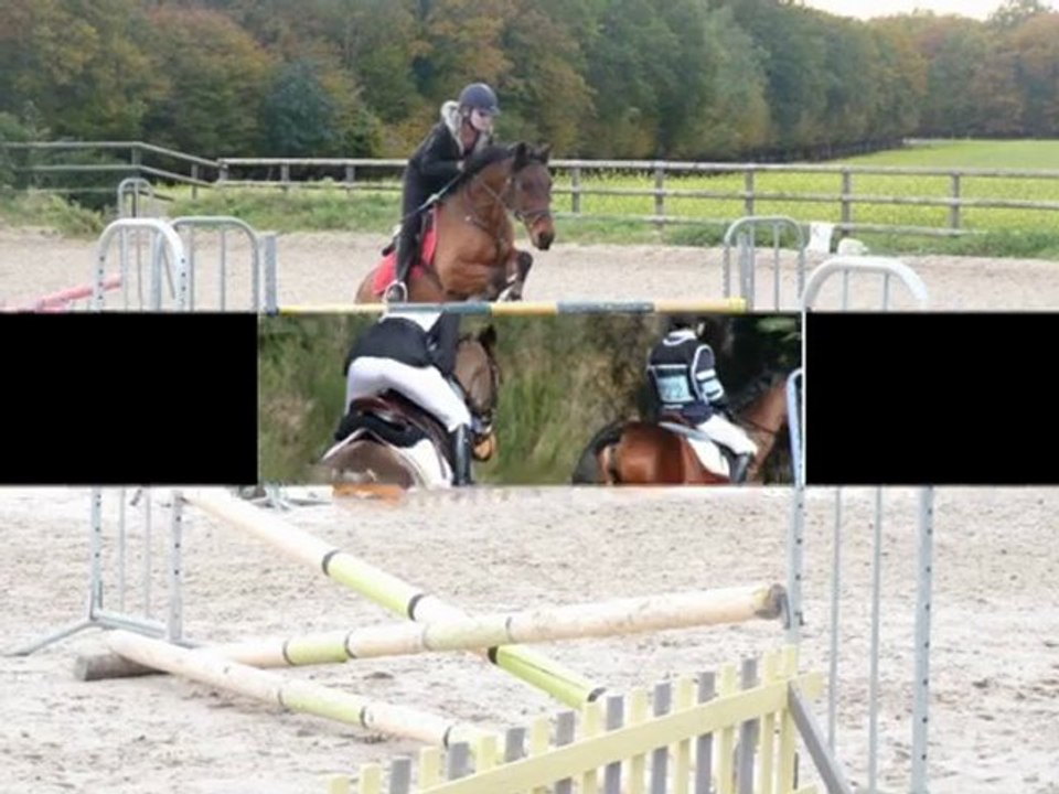 Poney =)