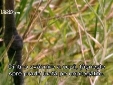 Marine Predators - Mai-2011 Part One