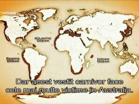 Marine Predators - Mai-2011 Part Two