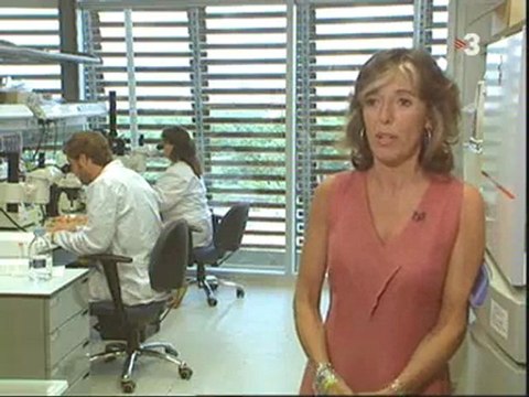 TV3 - Polònia a la carta - Acebes embogeix