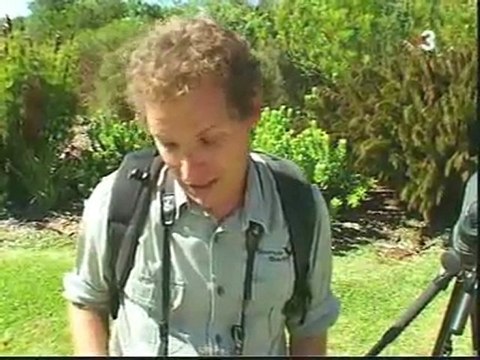 TV3 - Afers exteriors - Comunicació amb els ocells