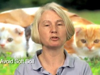 How To Keep Cats Out Of Flower Beds