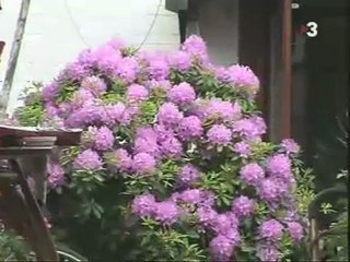 TV3 - De vacances: Comuna "hippy" de Christiania