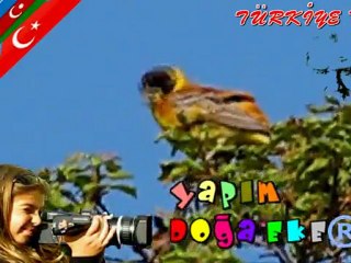 İLK BAHARDA TÜRKİYEM