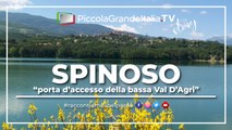 Spinoso - Piccola Grande Italia