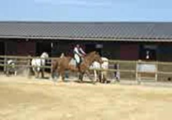 Manounette & Mignonne, Ecuries du bout du monde