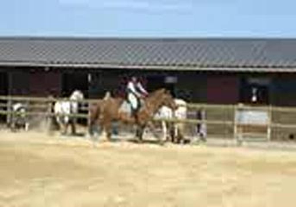 Manounette & Mignonne, Ecuries du bout du monde