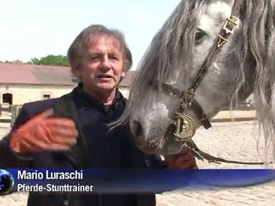 Stunt-Pferde - heimliche Kinostars