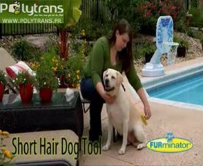 ETRILLE EFFILEUR FURMINATOR DeLuxe chiens et chats