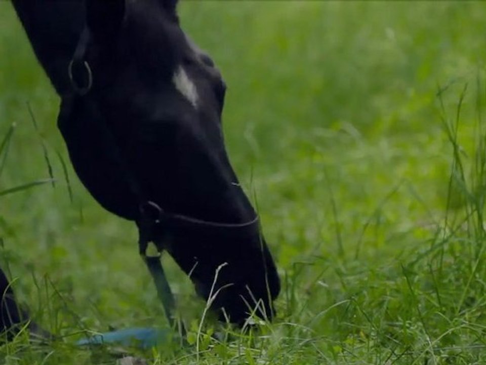 2011.05.20 Кирилл и Рита - обзорный клип