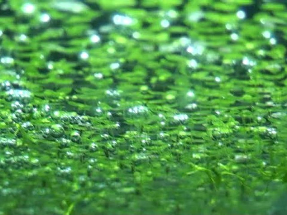 20110509173158