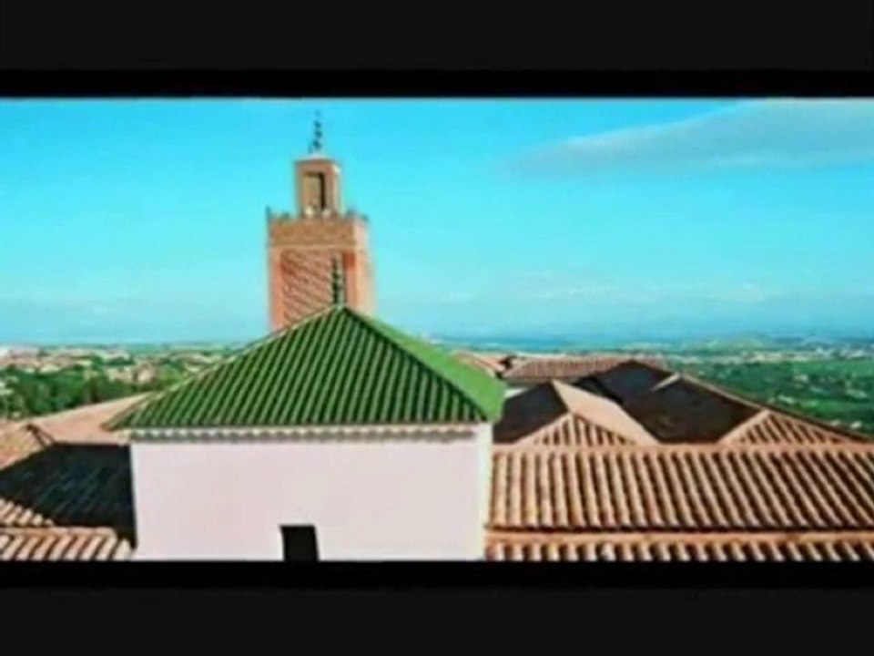 الزيانيون، بنو زيان أو بنو عبد الواد