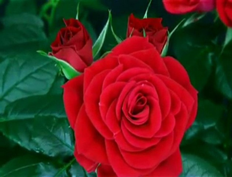 Good Morning!