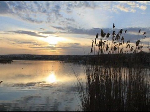 hicret orhan veli kanık(seslendiren burak aykın)