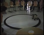TPE SSI 2010-2011 Robots sumo