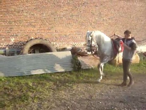 villano au pas espagnol a pied fini ^^