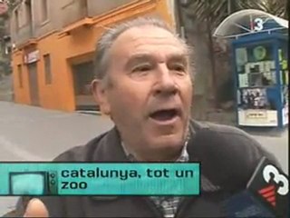 TV3 - TVist - Vostè sap imitar algun animal?