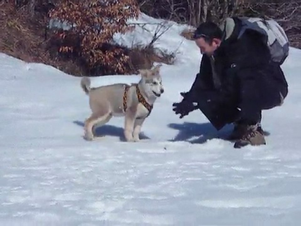Earl première neige