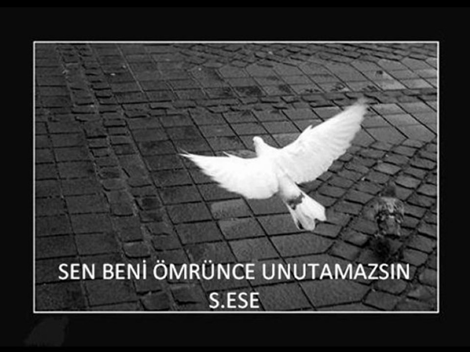 sen beni ömrünce unutmazsın