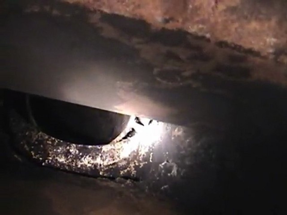Houston Home Inspector: Fire Place Flue Issues