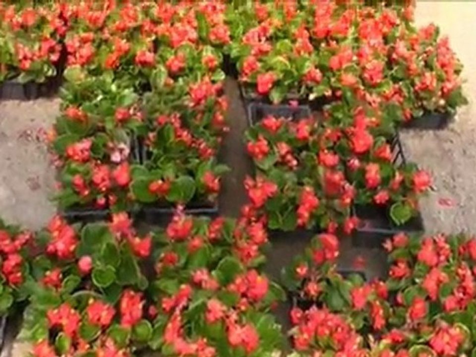 jardin de la vallée mai 2011