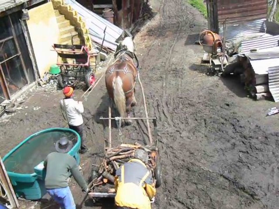 Test-du-traineau-à-roues-de débuscage-au-cheval-3