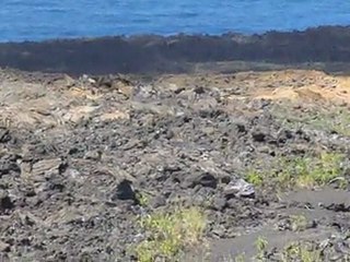 Coulée de lave du Piton de la Fournaise en 2007