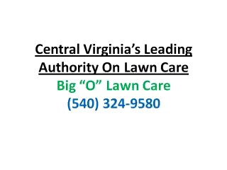 Lawn Care Company Staunton VA|Get Rid of Weeds Dandelions
