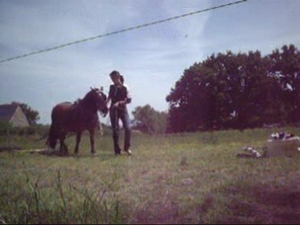 Tornado et son pneu