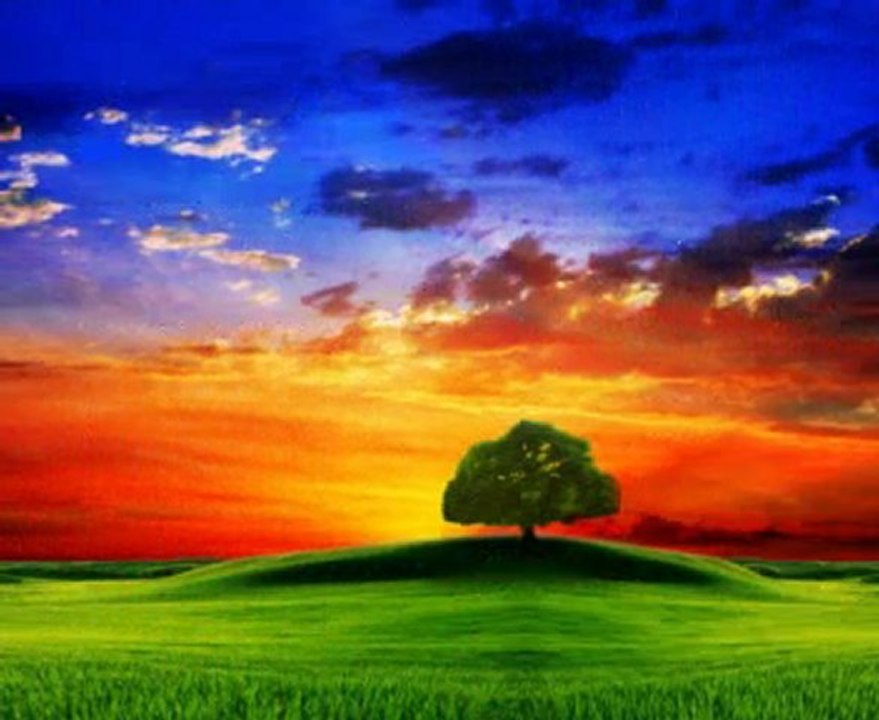 20.05.2011 Hayatın 3.gözü 1.kısım