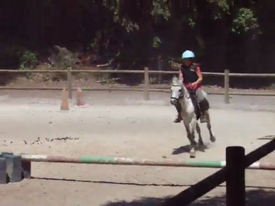 saut d'obstacle : du samedi 21 mai 2011