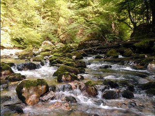 Les Terriens en Chartreuse