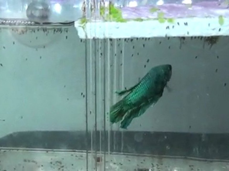 20110521114042
