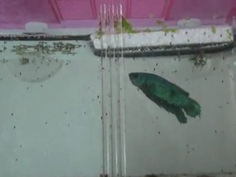 20110521114004