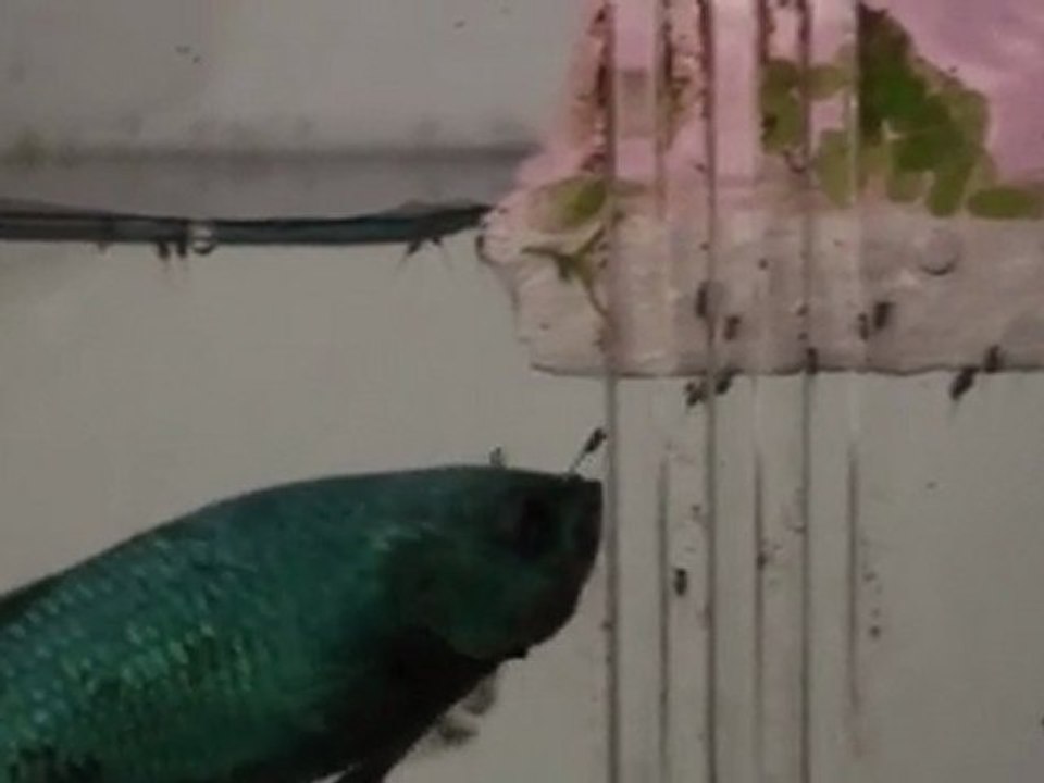20110521104035