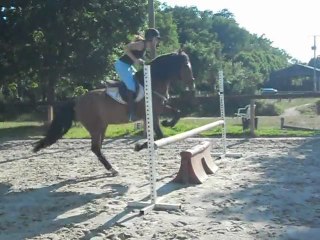 Don Amado saut le 20/05 part 2