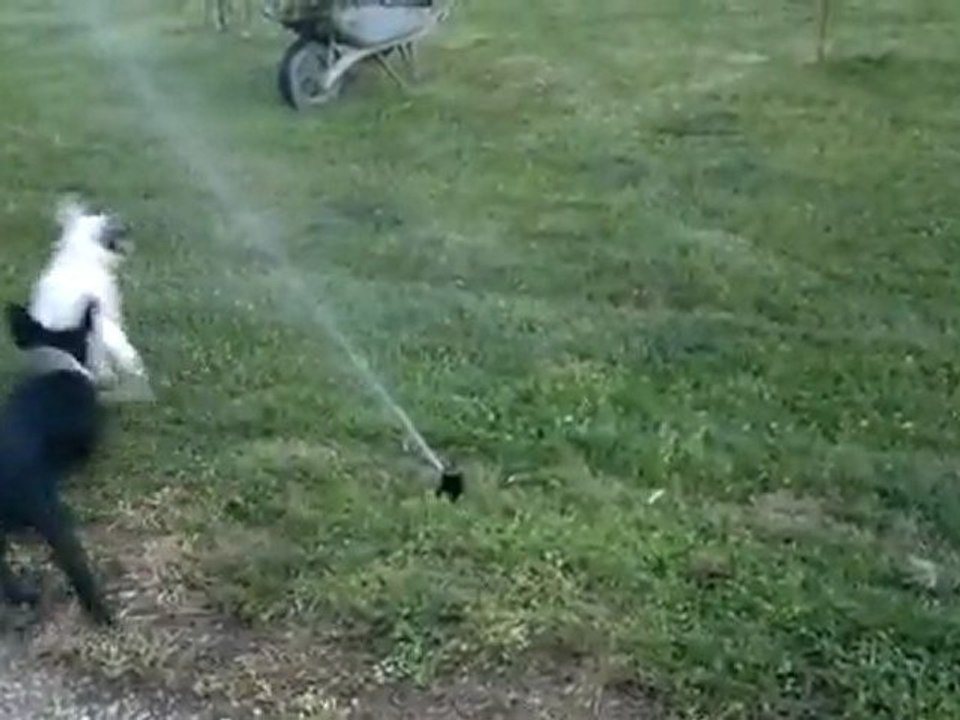 Découverte de l'arrosage automatique