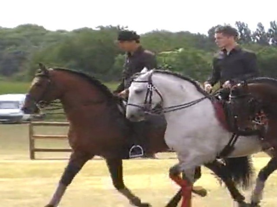 LES CAVALIERS DES ECURIES DE VITELLE (organise par  les attelages de conti )