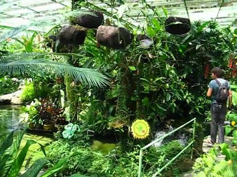 La tete qui tourne... des papillons partout ? Ne consultez pas !