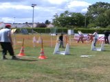 les Canis balles tournoi d'Ingré du 14 mai 2011