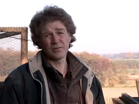 How To Raise A Grey Partridge