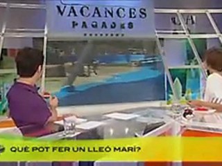 TV3 - Vacances pagades - El lleó marí afònic