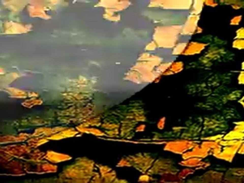 Estigma Producciones 2011.