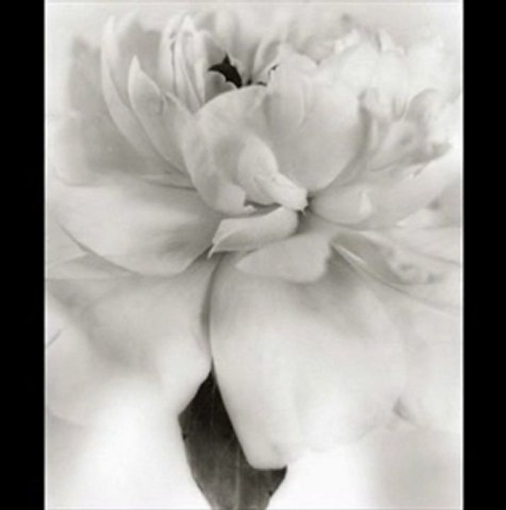 Marybeth D'amico - Walk Away