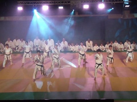 KSE MASSY,gala des arts martiaux